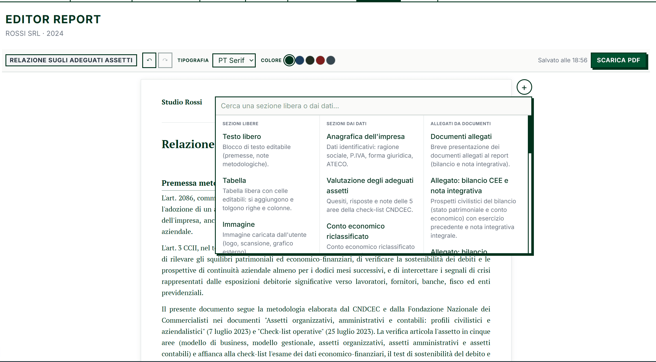 Editor della relazione adeguati assetti con carta intestata ed esportazione PDF