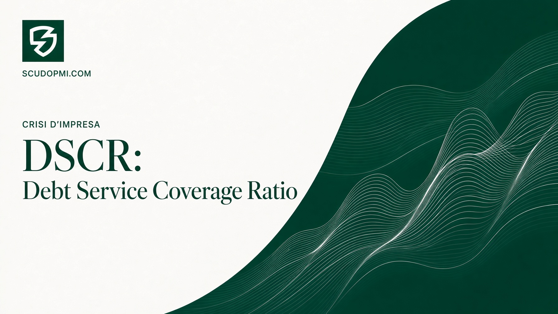 DSCR Debt Service Coverage Ratio: formula, calcolo e soglie di allerta per la crisi d'impresa