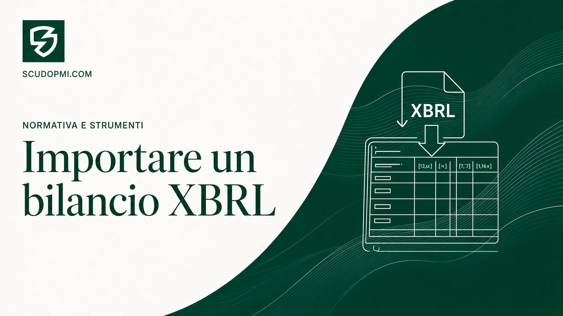 Importare un bilancio XBRL: guida all'analisi automatica del bilancio