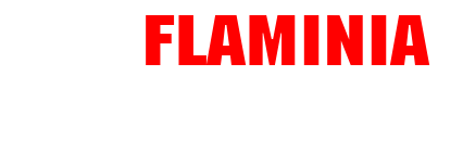 Flaminiasette